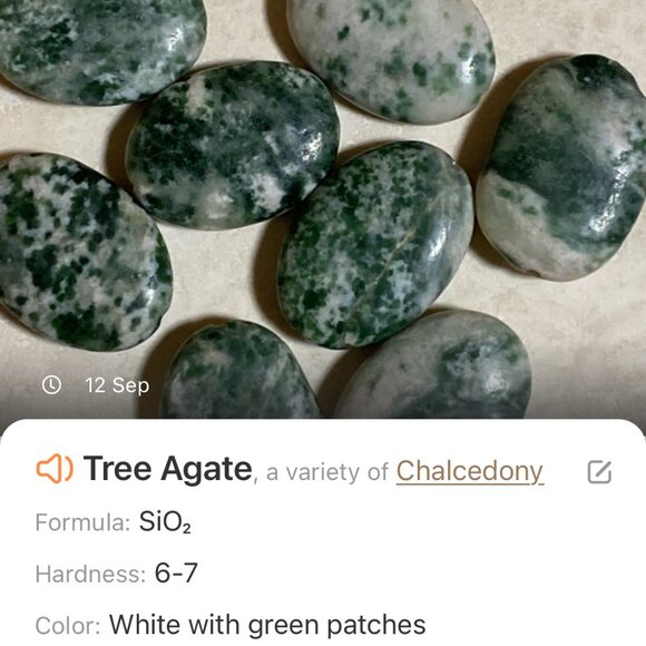 2/$20, Genuine Green Tree Agate & Lapis Lazuli Gemstone Sterling Silver Earrings - Picture 8 of 11